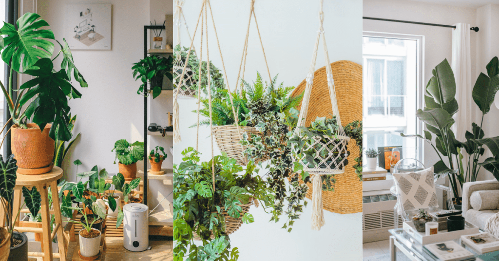 indoor decor
