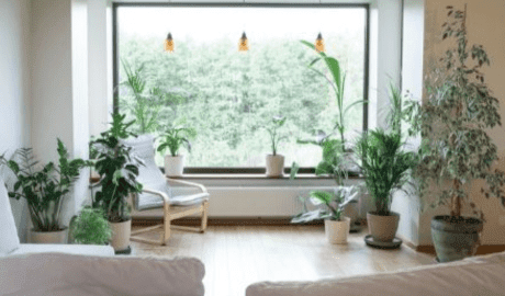 home m