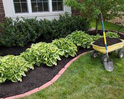 mulch